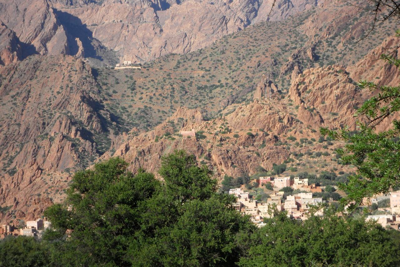 Hotel Kasbah Chez Amaliya *